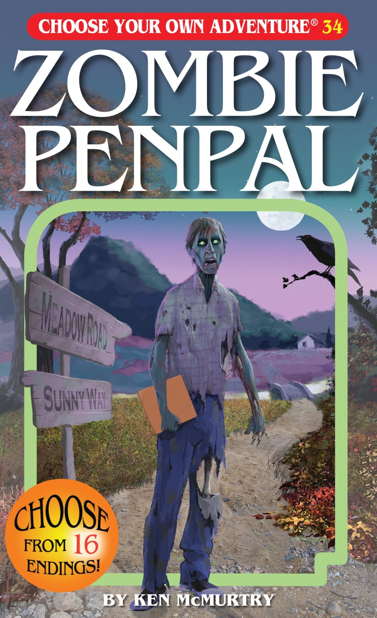 cover of book Zombie Penpal