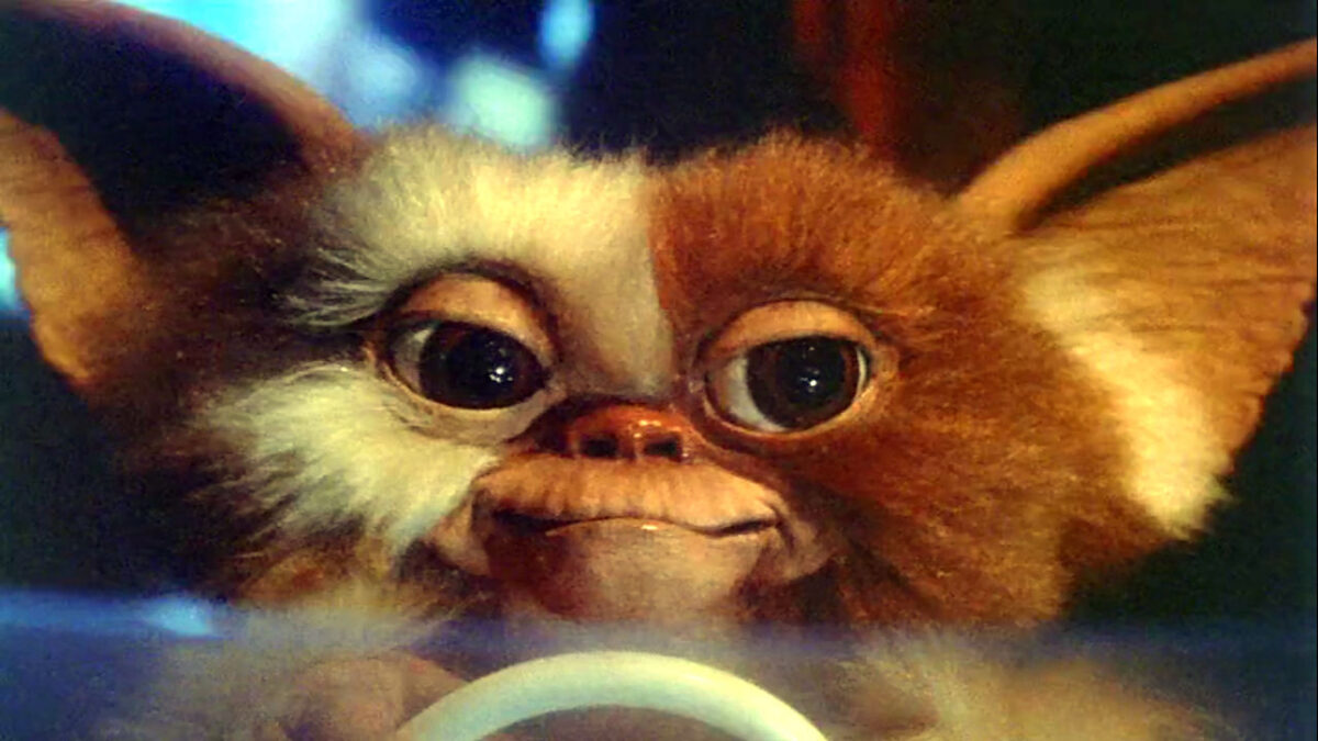 Gizmo the Mogwai from the movie Gremlins in closeup on his face as he is driving a remote control car
